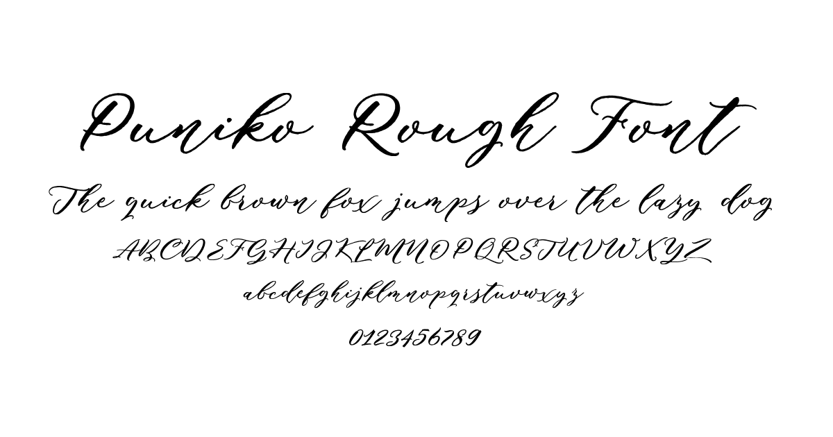 Puniko Rough Font font preview